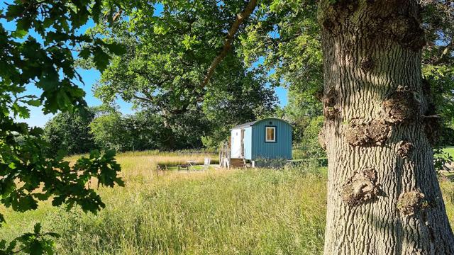Chase Farm Glamping