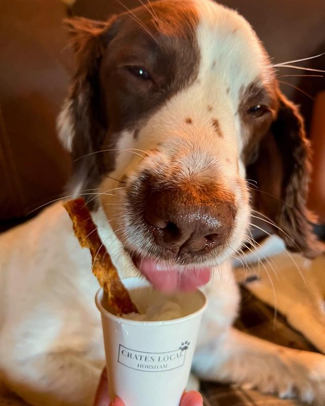 Dog Friendly Horsham