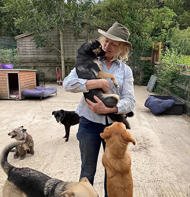 Holbrook Animal Rescue