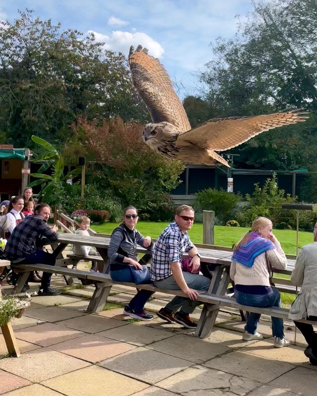 Huxley's Birds of Prey Centre & Gardens