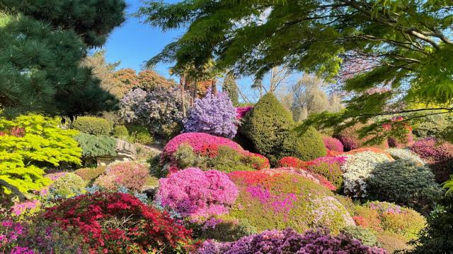 Leonardslee Rock Garden