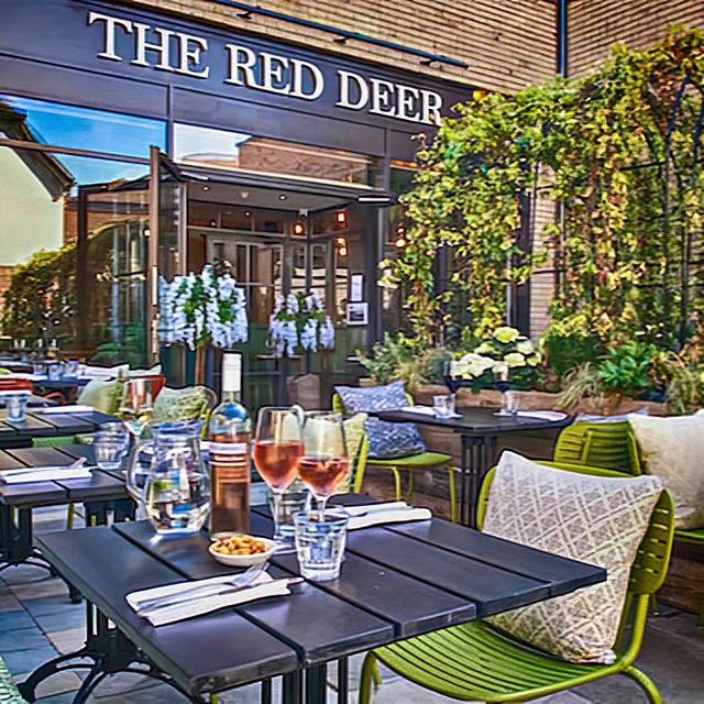 Red Deer Horsham