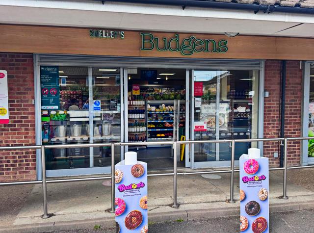 Shelley Budgen's