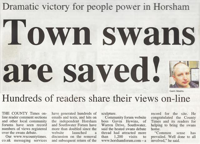 Swan Walk Swans Saved