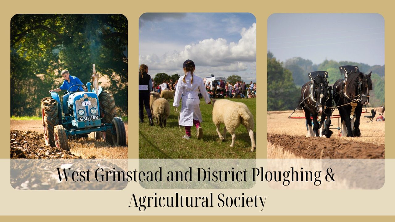 Ploughing Match - Westons Farm Shop - Horsham Event