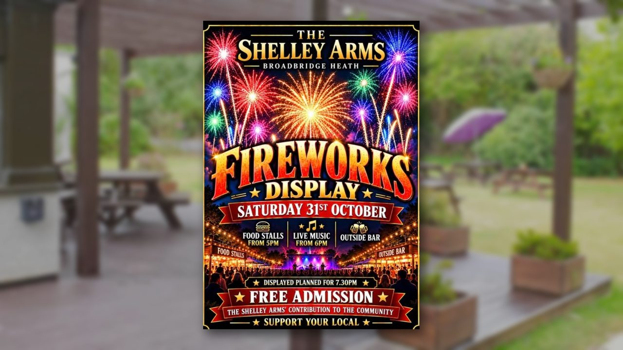 Fireworks Display - The Shelley Arms - Horsham Event