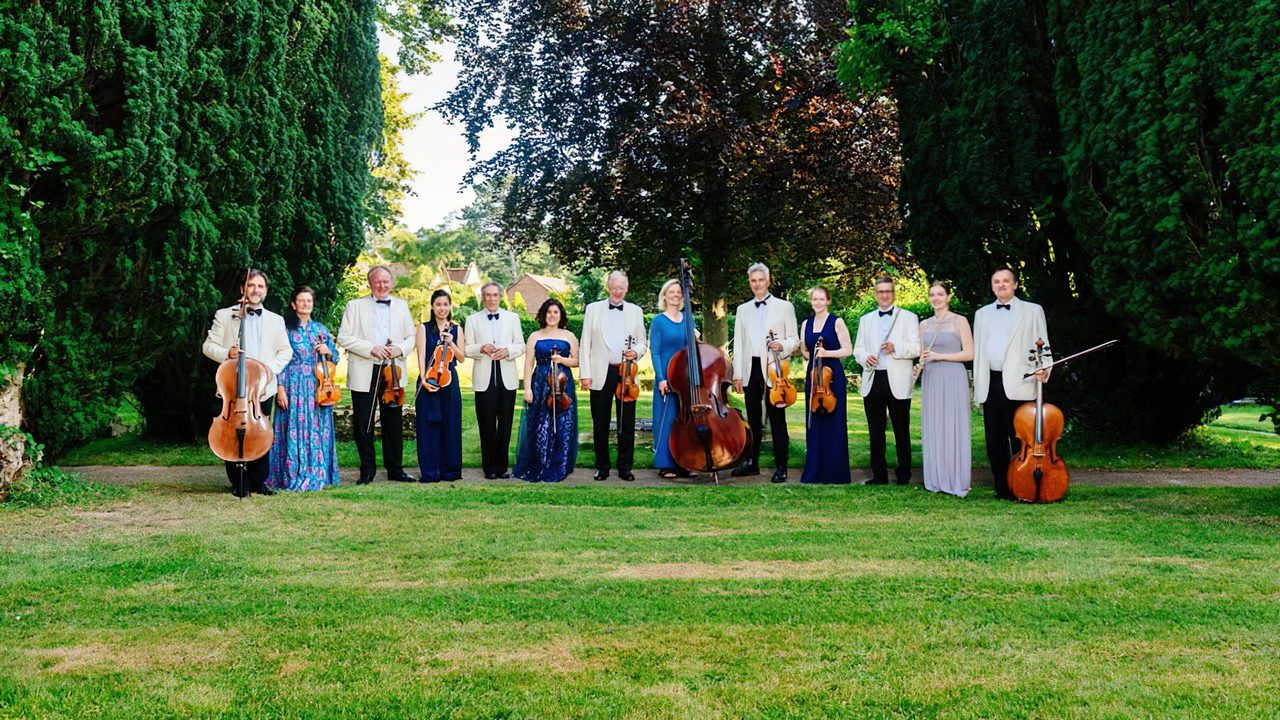 Strings in the Barn - Warnham Park - Horsham Event
