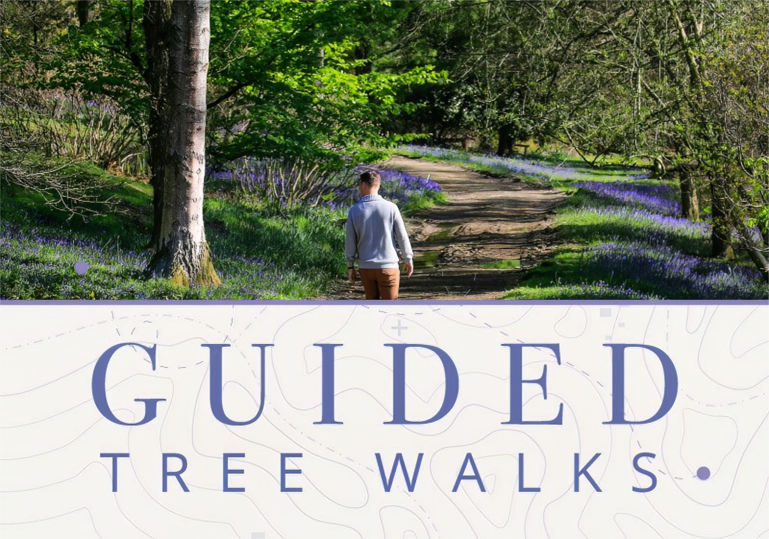 Tree Walks Leonardslee Gardens