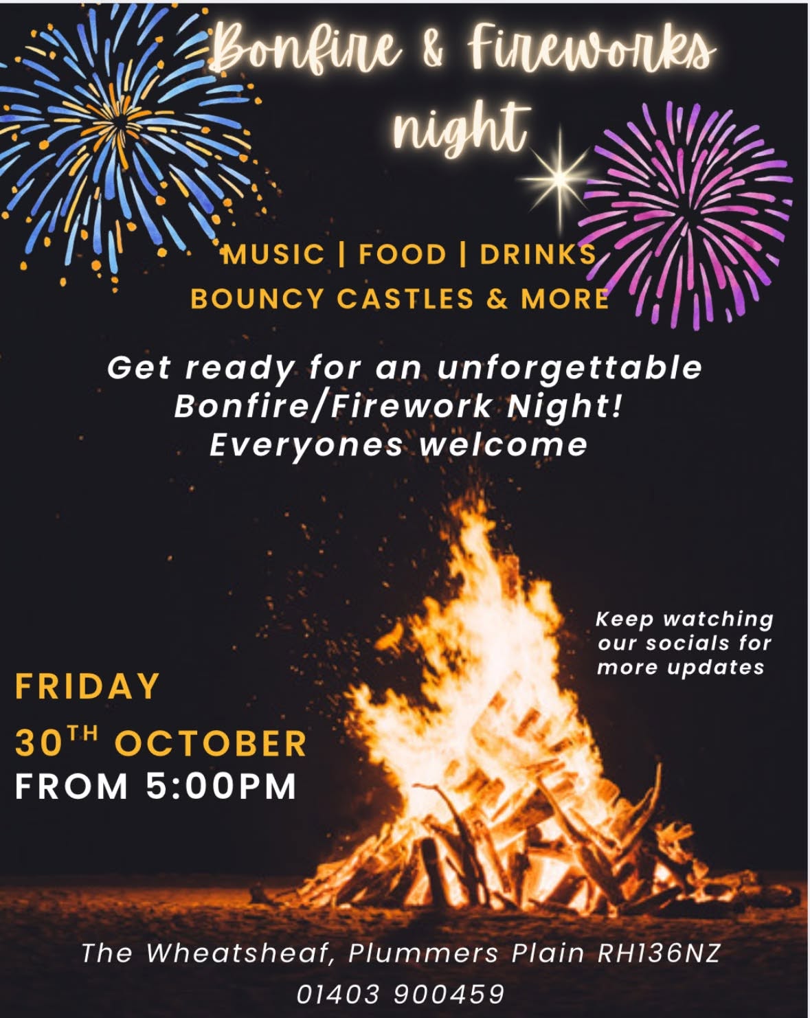Bonfire and Fireworks Night Photograph