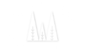 Woods For Learning Shop Now image