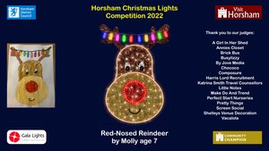 Horsham Christmas Lights 2022 will feature a Red-Nosed Reindeer by Molly age 7 Photograph