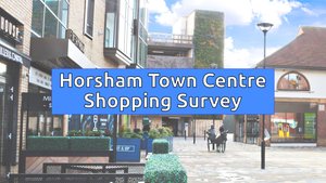  Horsham Town Centre Shopping Survey Autumn 2022