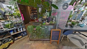 Hugo & Green 360 Tour