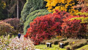 Leonardslee Lakes & Gardens: A vibrant autumn awaits