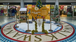Swan Walk's Give-mass Tree supporting Chestnut Tree House Hospice this Christmas
