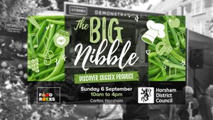 The Big Nibble returns to Horsham Photograph